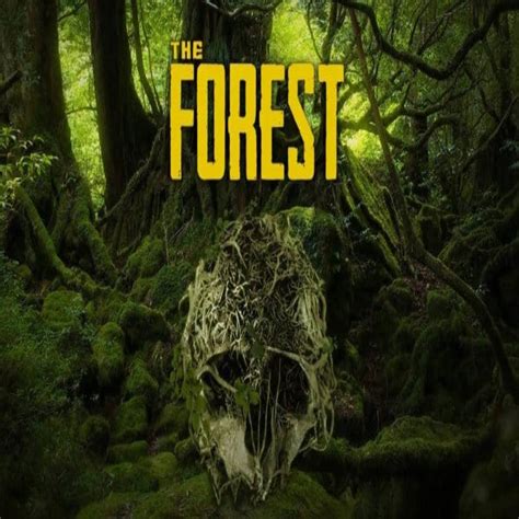 the forest steam